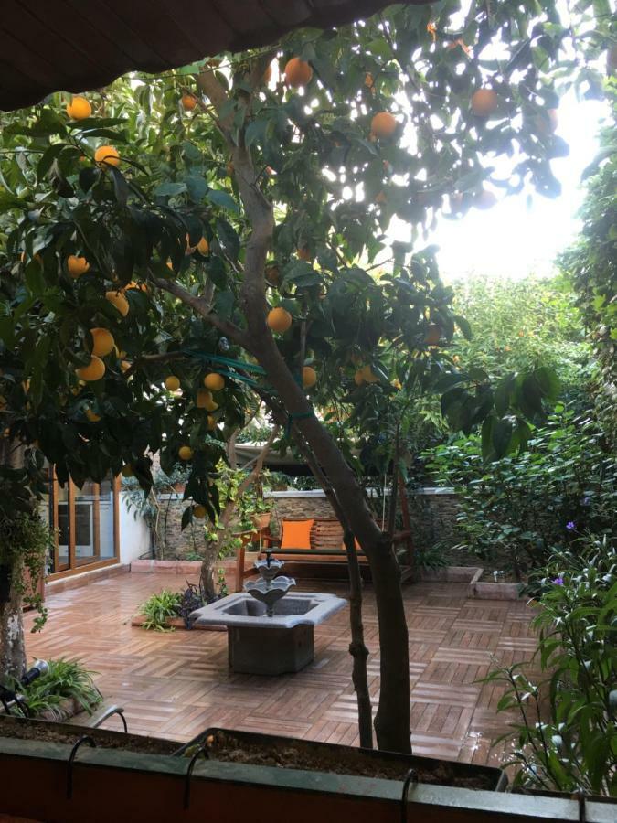 Orange Garden Apartment Antalya Exterior photo